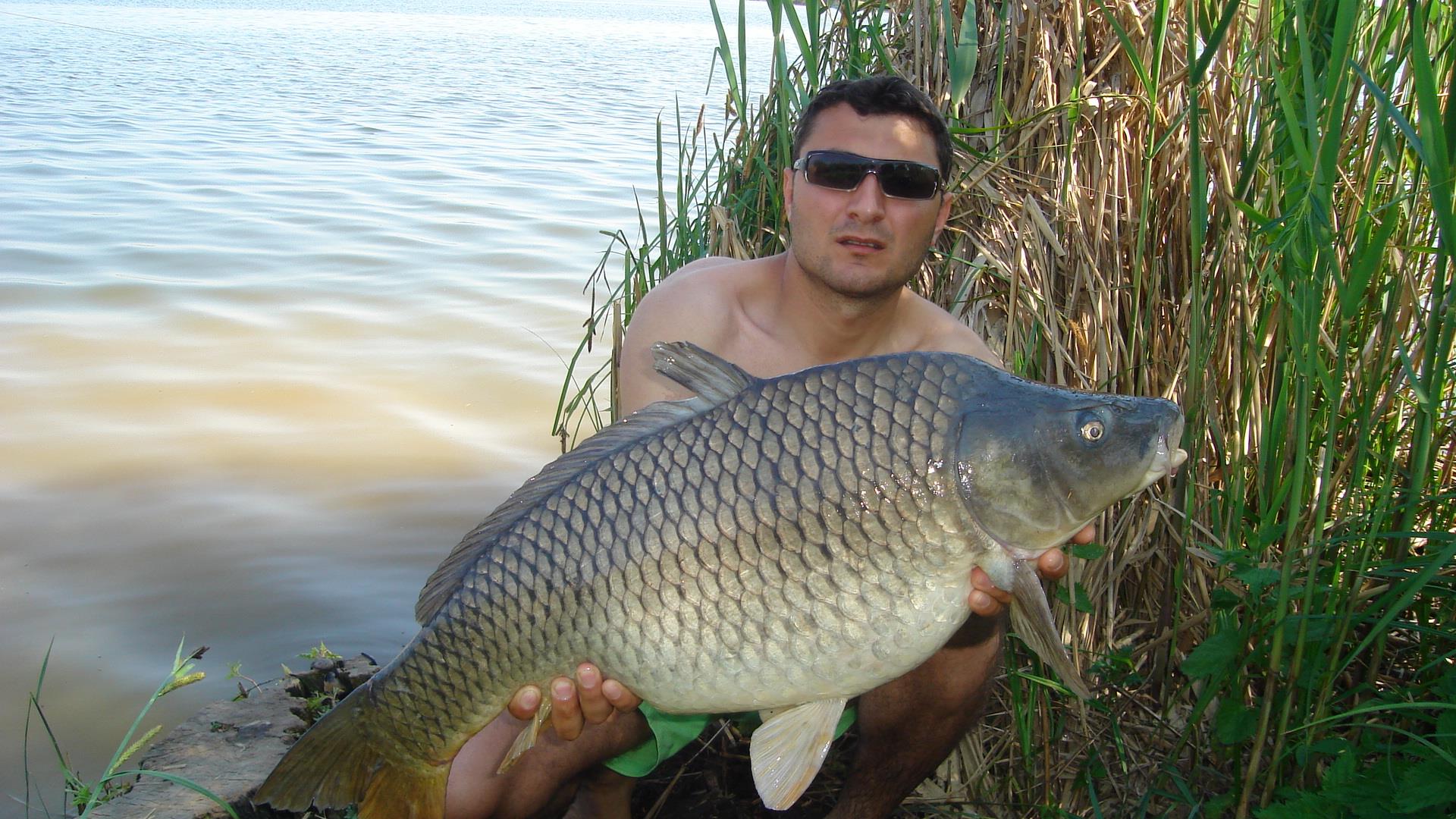 Tancabesti - dsc0333511.JPG